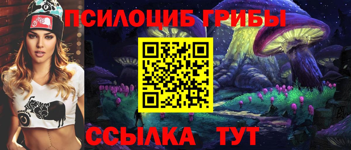 Псилоцибиновые грибы Psilocybe  Вход с VPN  Изобильный  Галлюциногенные грибы Psilocybine cubensis 